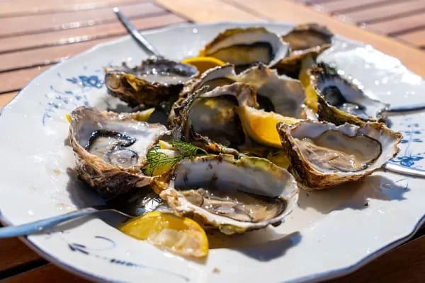 A gourmet seafood plate featuring freshly shucked oysters served on a white decorative plate
