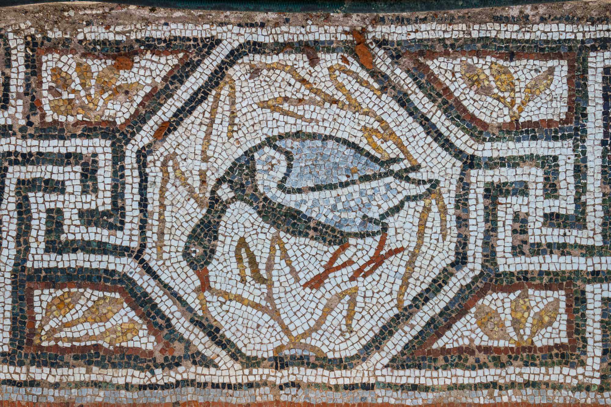 A well-preserved ancient Roman mosaic featuring a detailed fish motif surrounded by decorative