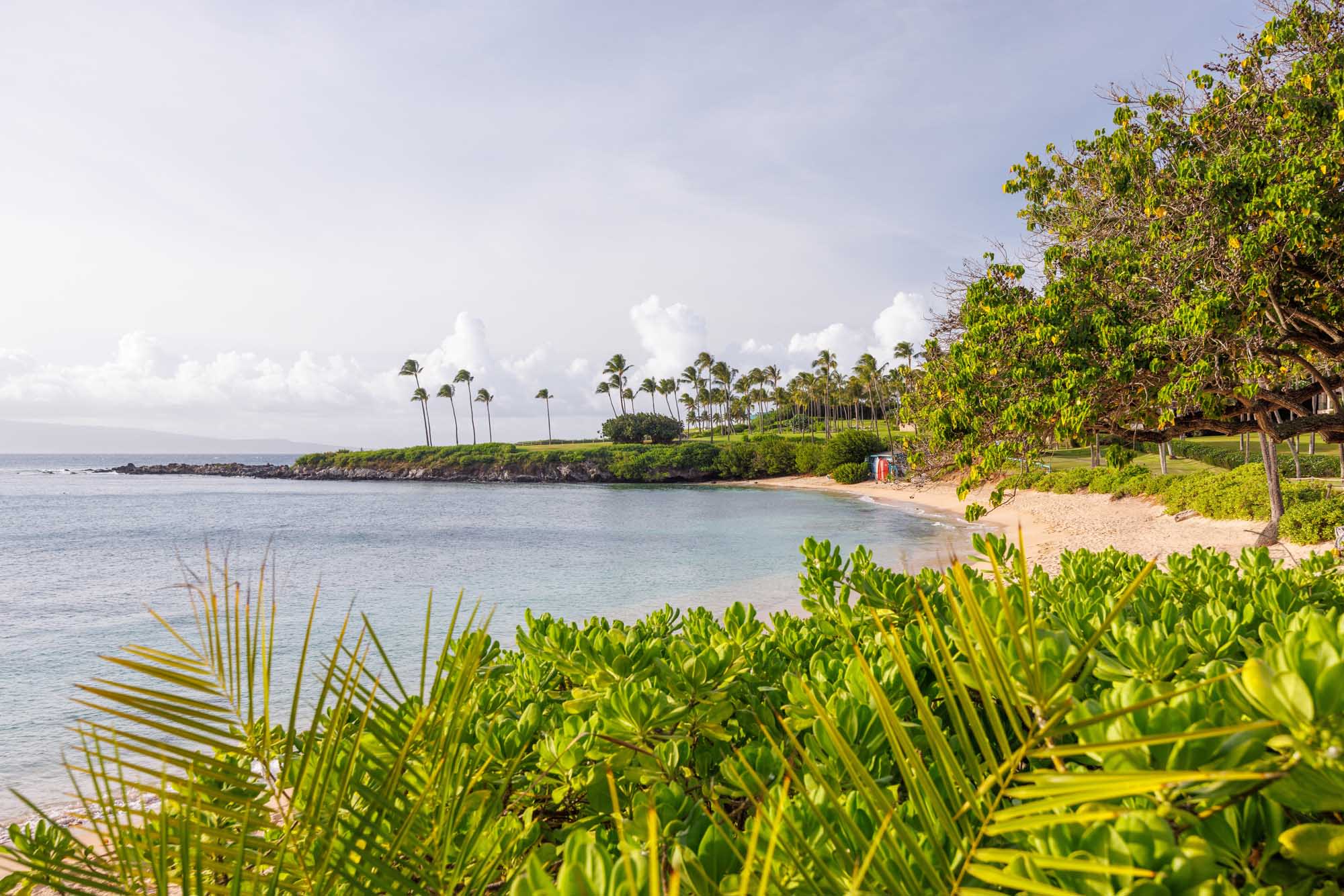 A serene tropical beach cove on Maui, Hawaii, featuring turquoise waters, golden sand, lush green