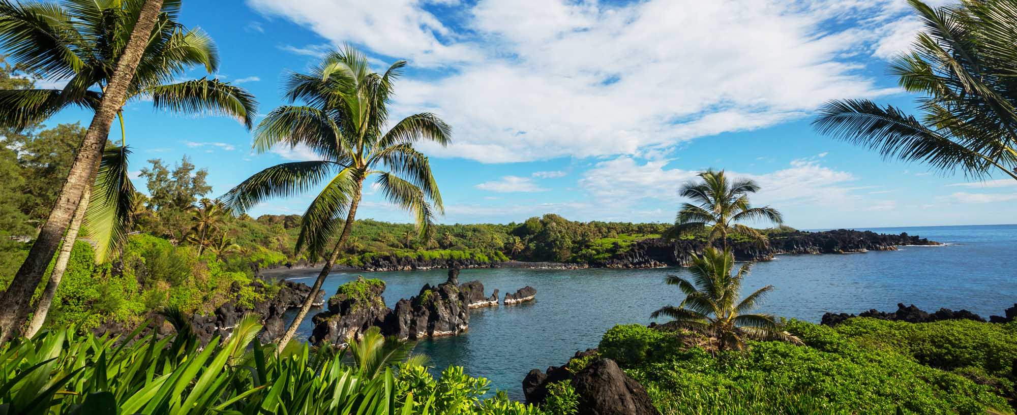 A stunning tropical seascape featuring lush palm trees, dramatic black volcanic rock formations