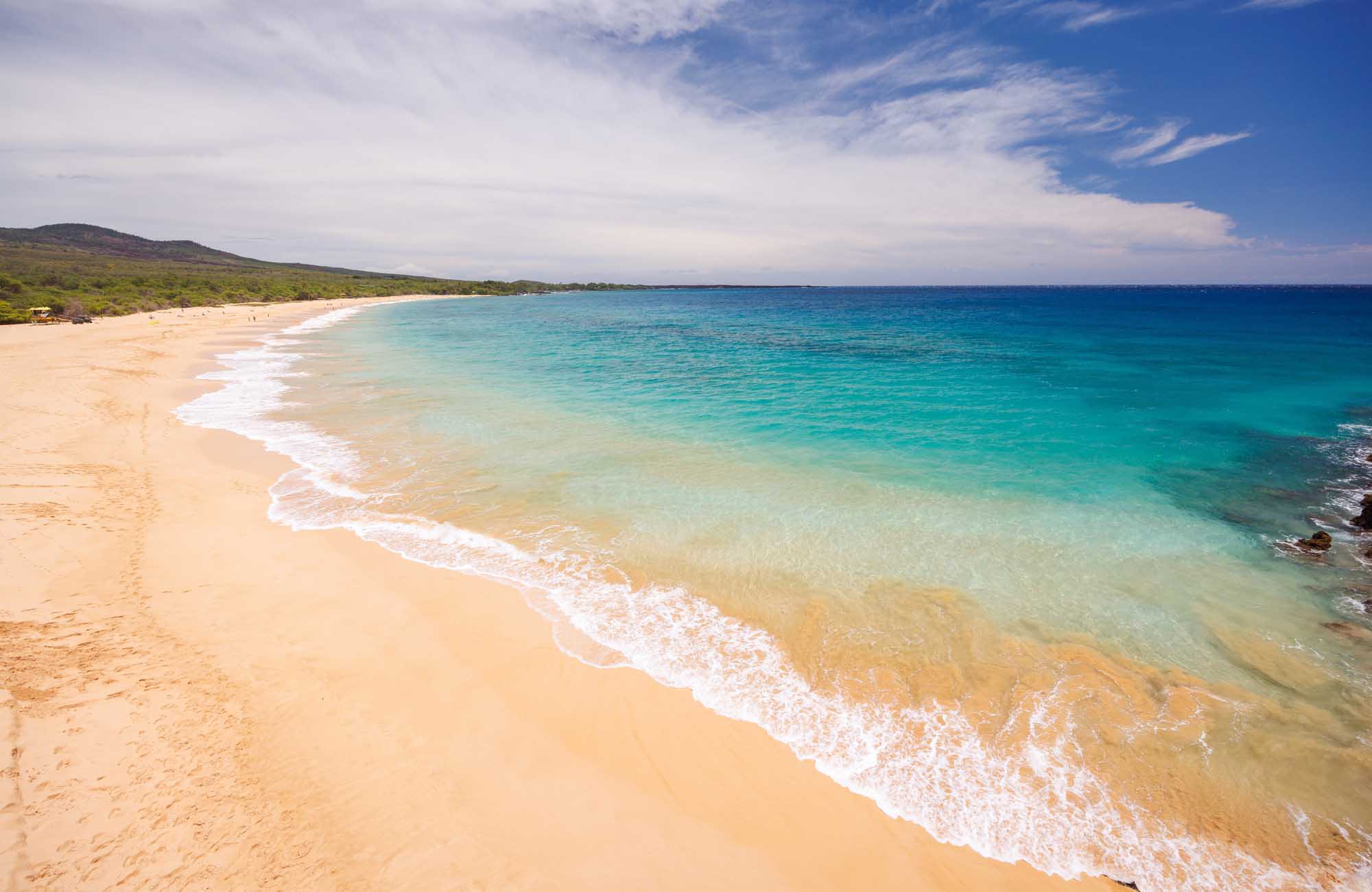 A pristine sandy beach in Maui, Hawaii, with crystal-clear turquoise waters, gentle white-capped