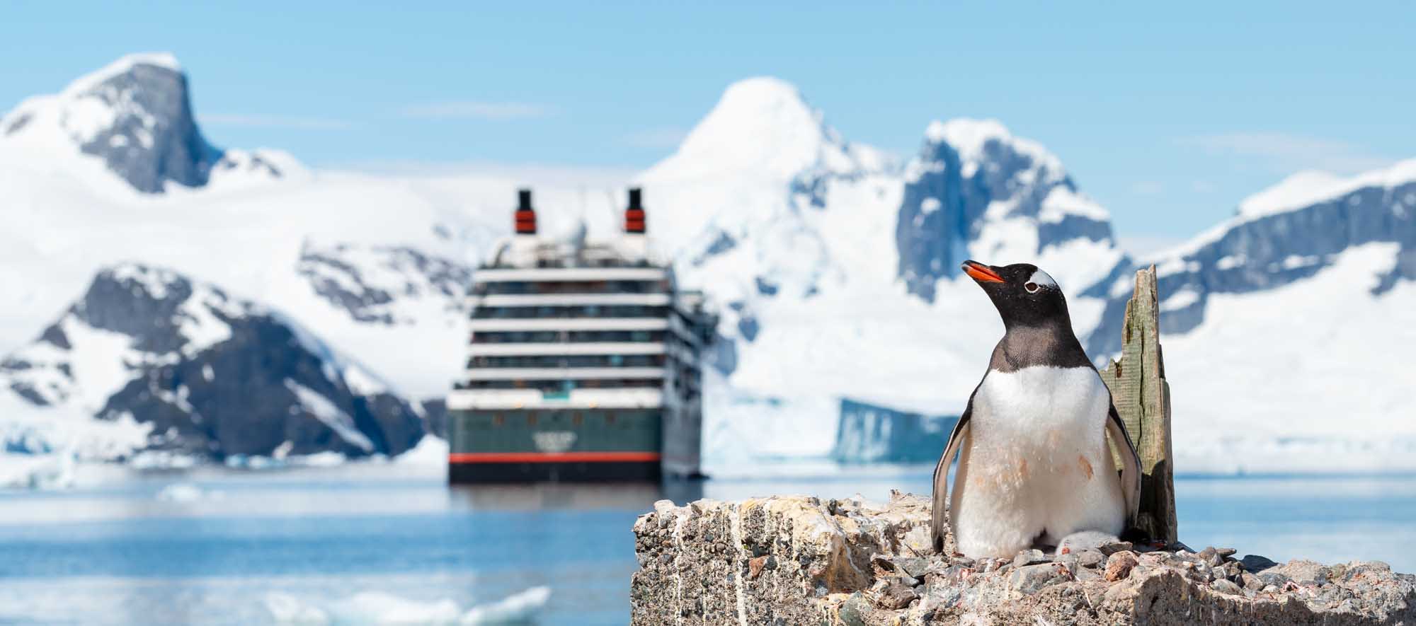 A gentoo penguin stands on a rocky outcrop in the foreground, with a blurred expedition cruise ship