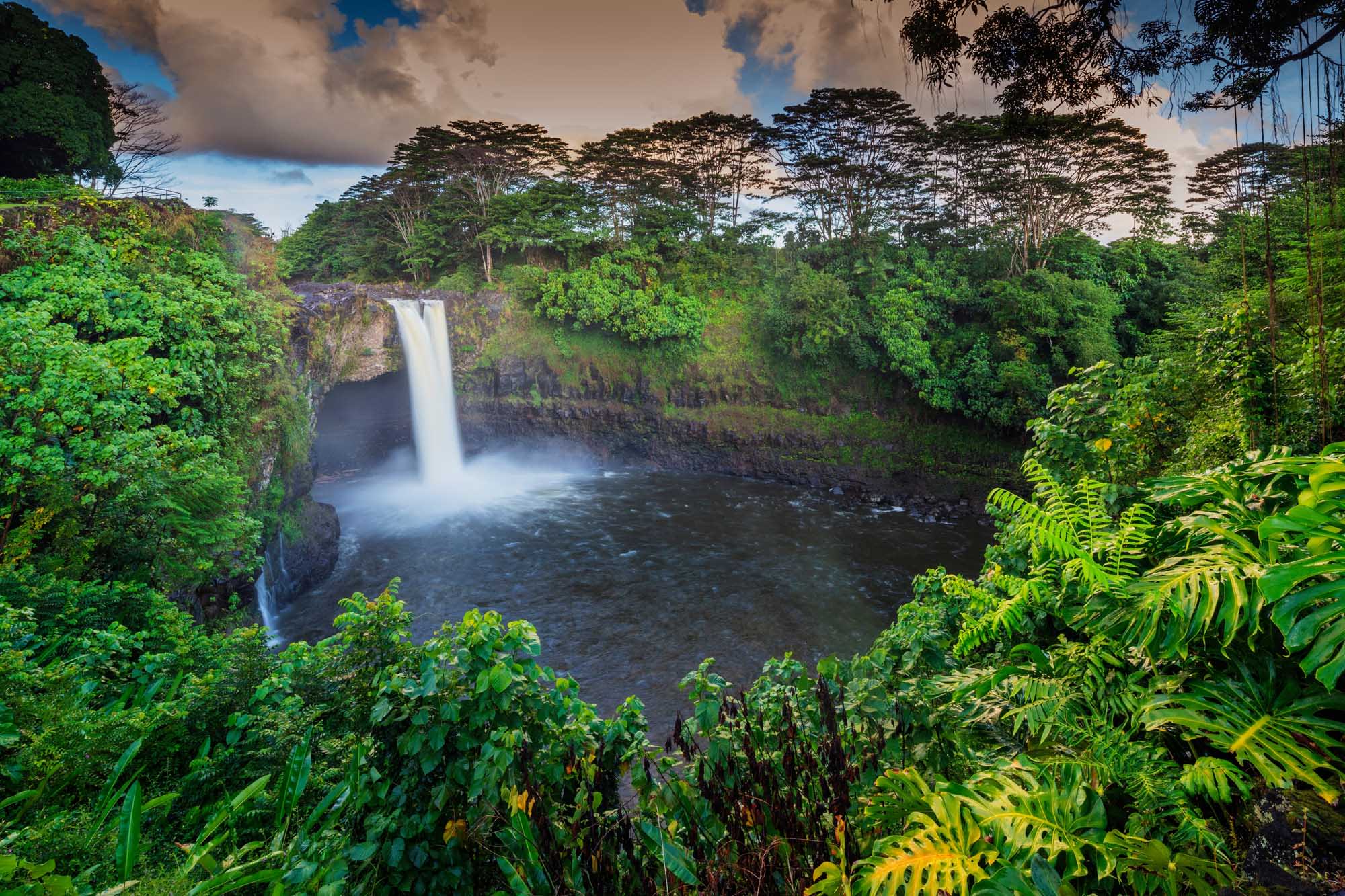 A stunning waterfall cascades into a dark pool surrounded by lush tropical rainforest vegetation