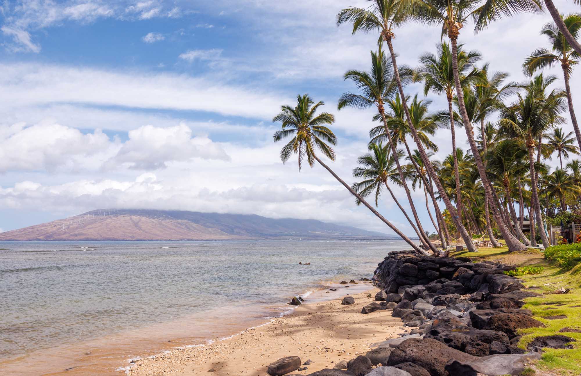 A serene tropical beach scene in Maui, Hawaii, featuring coconut palms leaning over a sandy