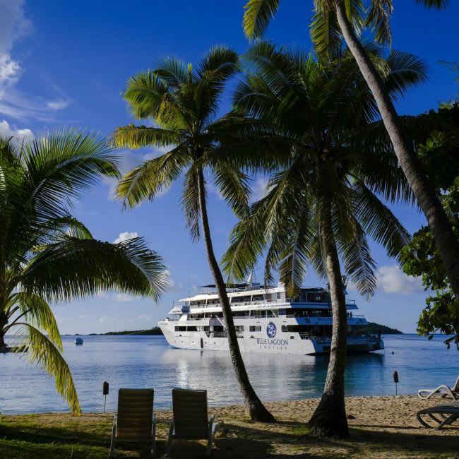 A serene tropical beach scene featuring palm trees framing a large cruise ship anchored in clear
