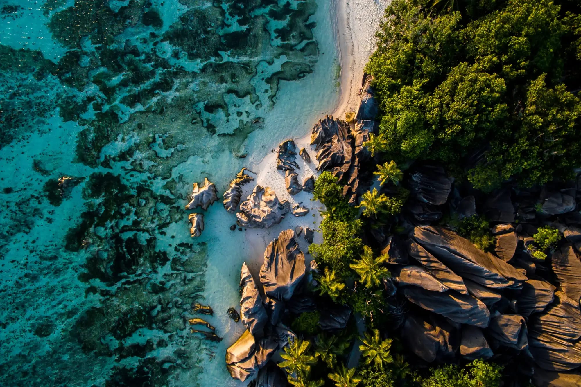 An aerial view of a pristine tropical beach featuring turquoise crystal-clear waters, white sand