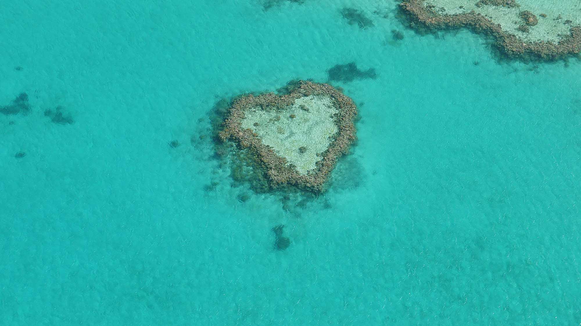 An aerial photograph of Heart Reef, a naturally heart-shaped coral formation within Australia's