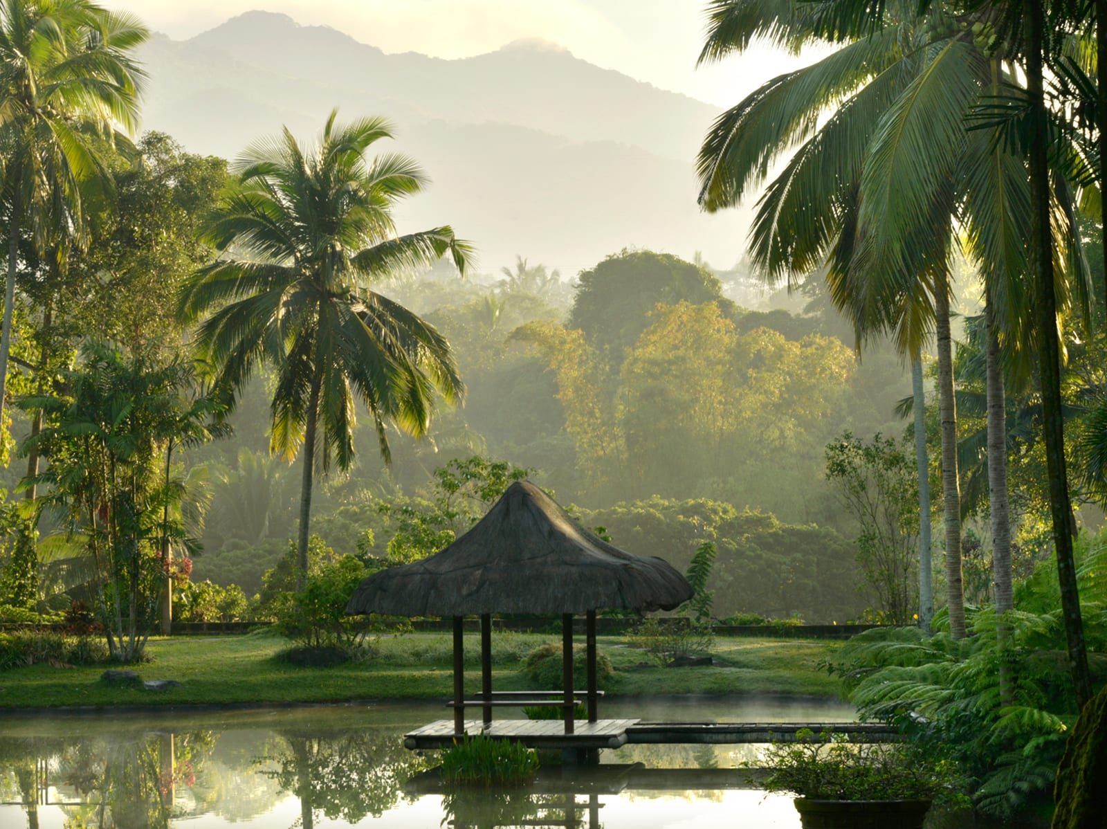 Thatched-roof gazebo on a pond surrounded by palm trees and misty mountains