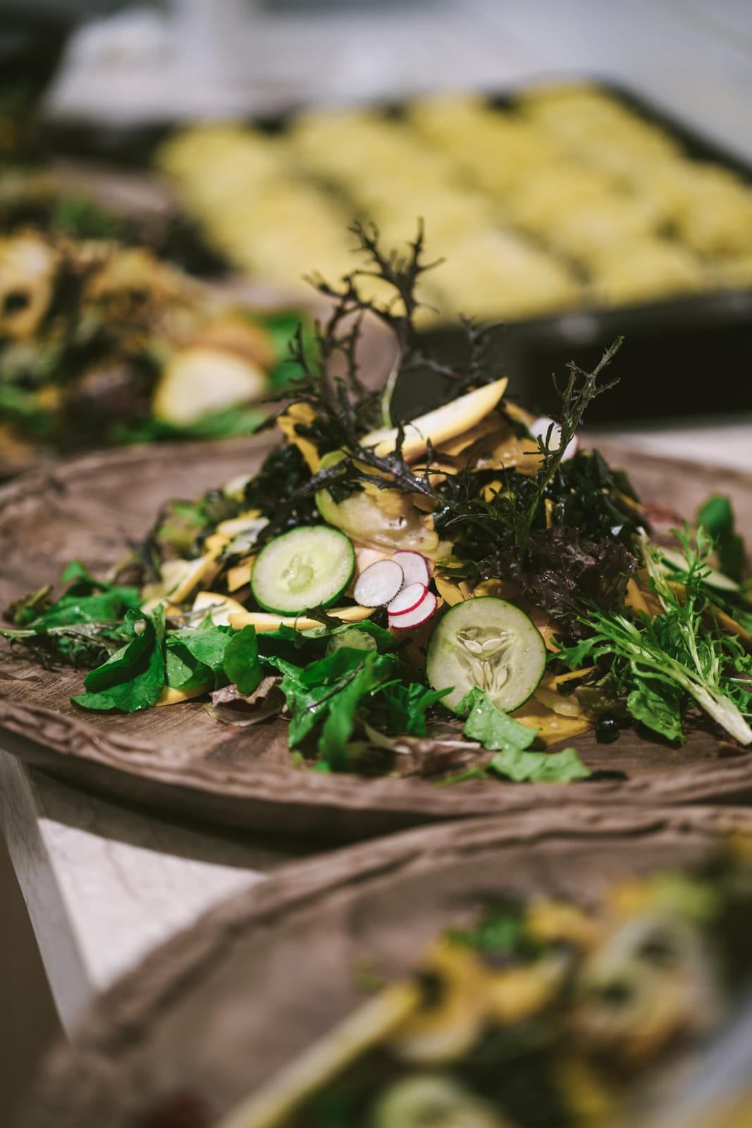 Plated salad with cucumber slices, radish, greens, and black herb garnish on wooden plate