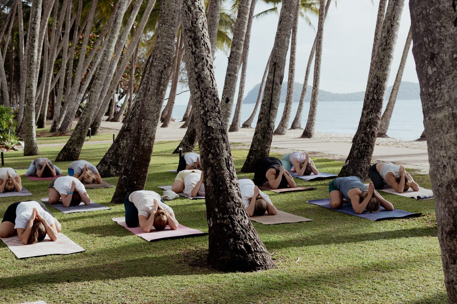 Group yoga class on grass beneath palm trees overlooking calm tropical ocean water