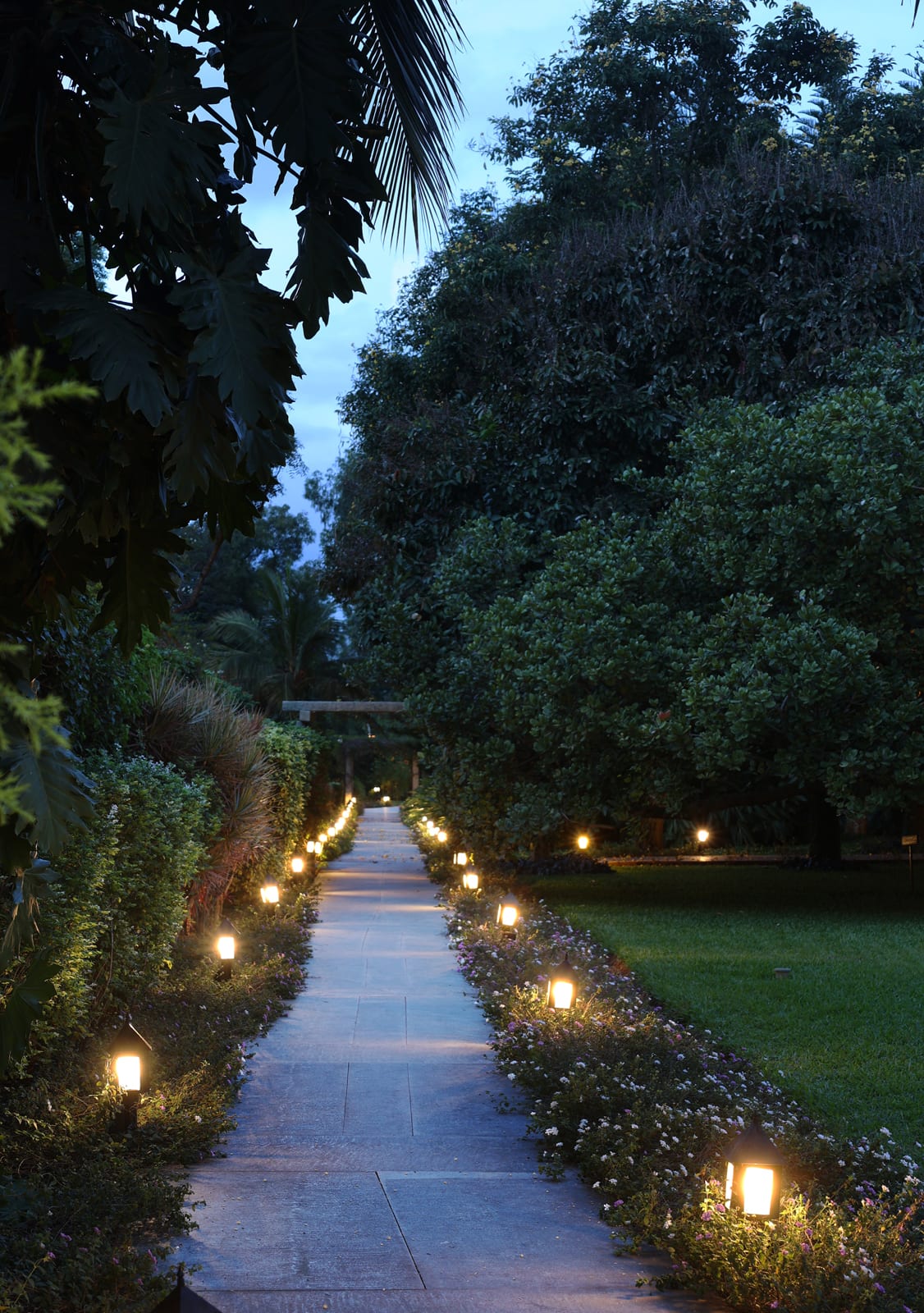 Interior Path .jpg