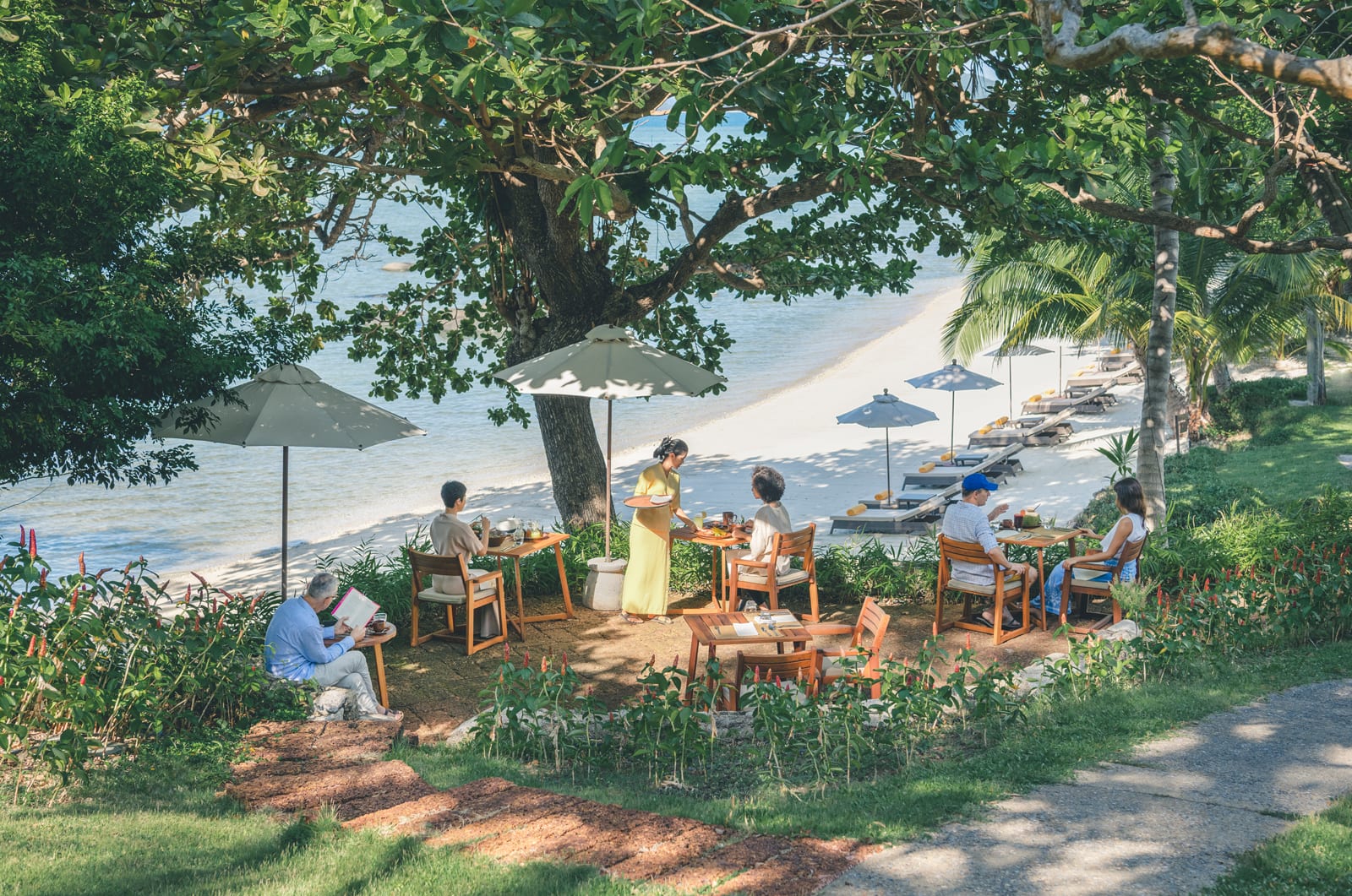 Beachfront dining area under large tree with guests at wooden tables, ocean and beach loungers visible beyond