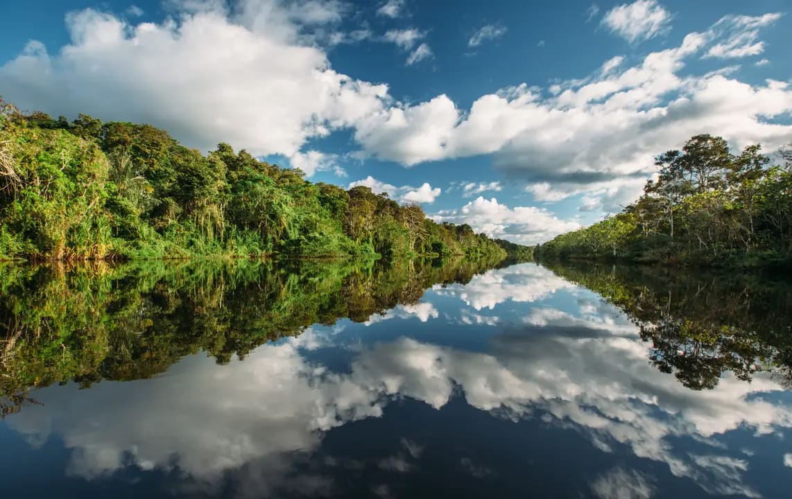A serene view of a pristine river flowing through dense Amazon rainforest, with lush green vegetation mirrored perfectly in the still water under a bright blue sky with white cumulus clouds. This natural landscape represents the heart of South American wilderness and biodiversity.