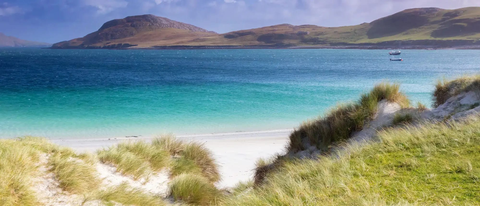 A pristine white sand beach with coastal dune grasses overlooks crystalline turquoise waters