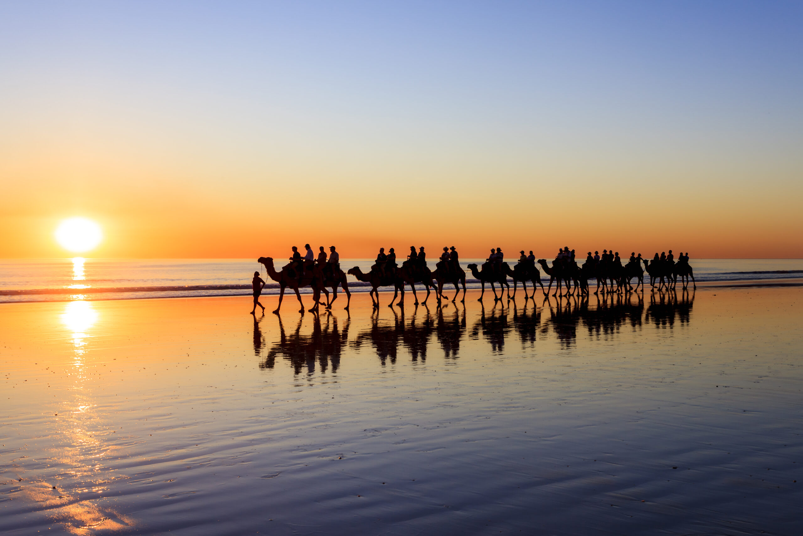 Camel Caravan on Beach at Sunset A scenic sunset scene featuring a caravan of camels with riders silhouetted against a golden sky, walking along a pristine beach with mirror-like wet sand reflections. This iconic desert and coastal tourism experience captures the serene beauty of camel trekking adventures.
