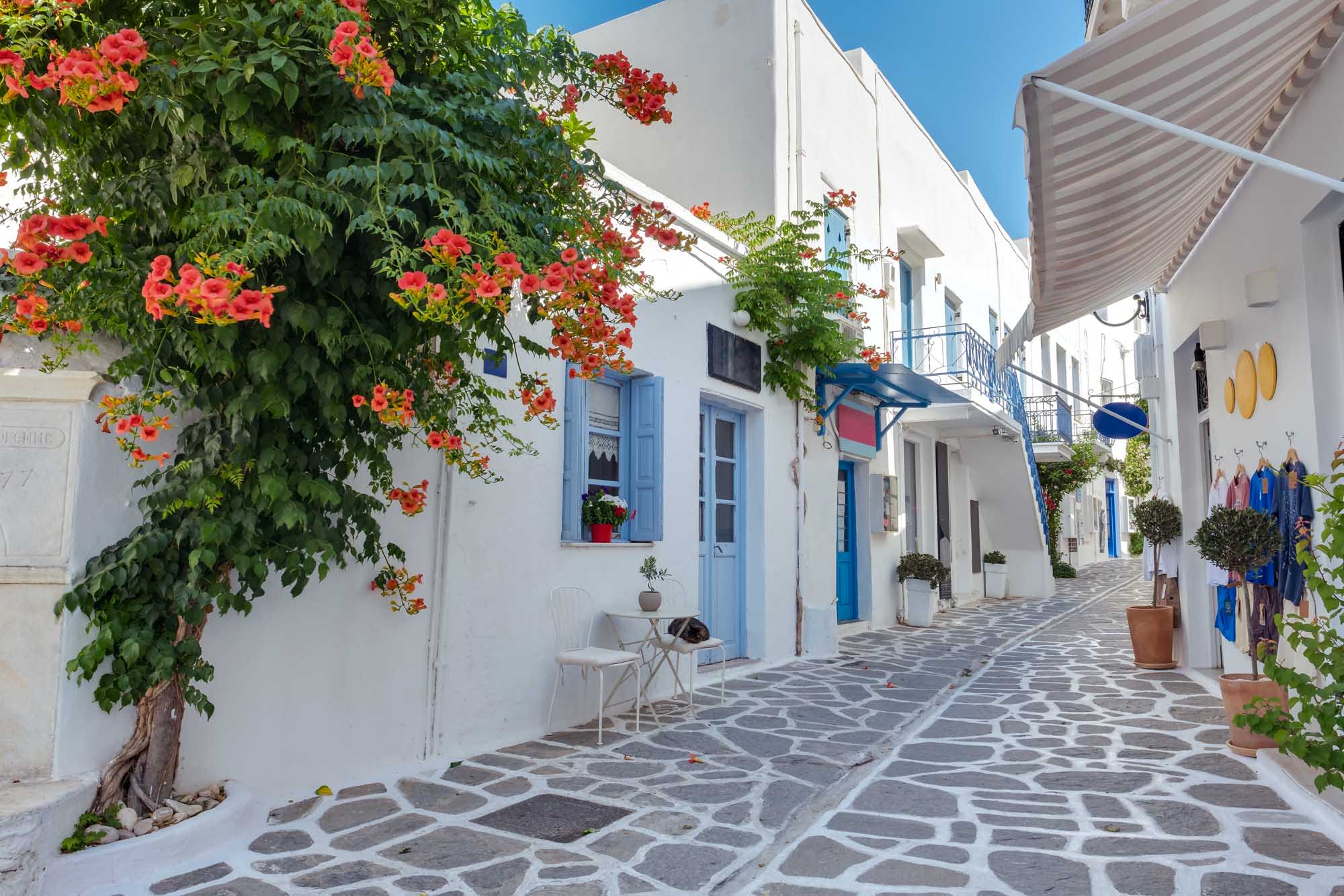 A picturesque narrow alley in the old town of Parikia featuring traditional Cycladic architecture with whitewashed buildings, bright blue doors and shutters, and vibrant bougainvillea flowers cascading over the walls. The cobblestone street is lined with quaint shops and charming details typical of Greek island villages.