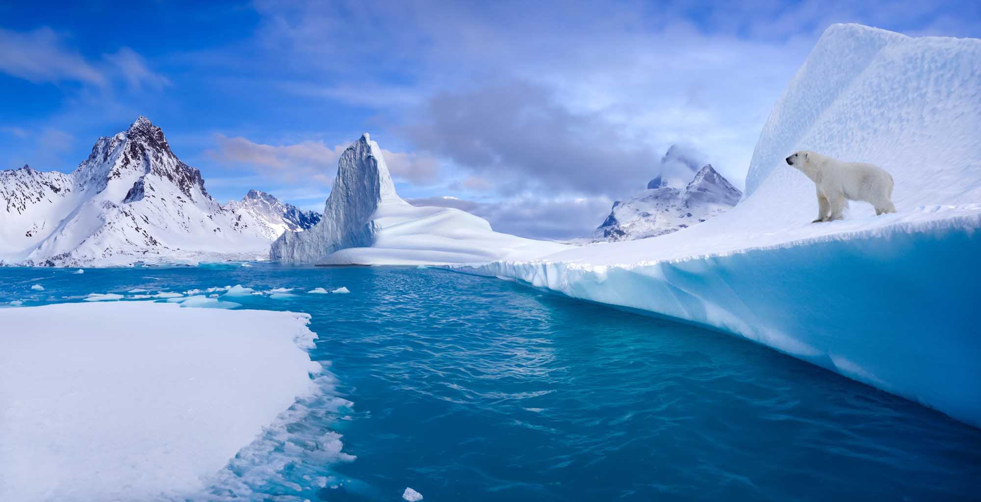 A majestic polar bear stands on a massive iceberg in the Arctic waters of eastern Greenland, surrounded by snow-capped mountains, glacial ice formations, and deep blue fjord waters.