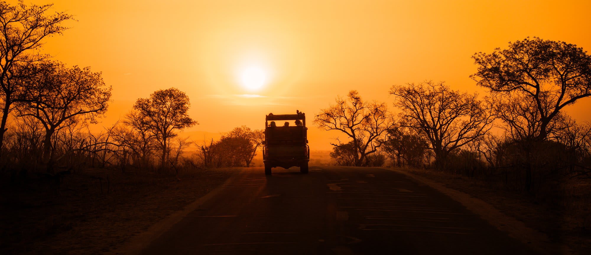Safari Vehicle on African Savanna at Sunrise A safari vehicle on the African savanna at sunrise with golden light illuminating the landscape.