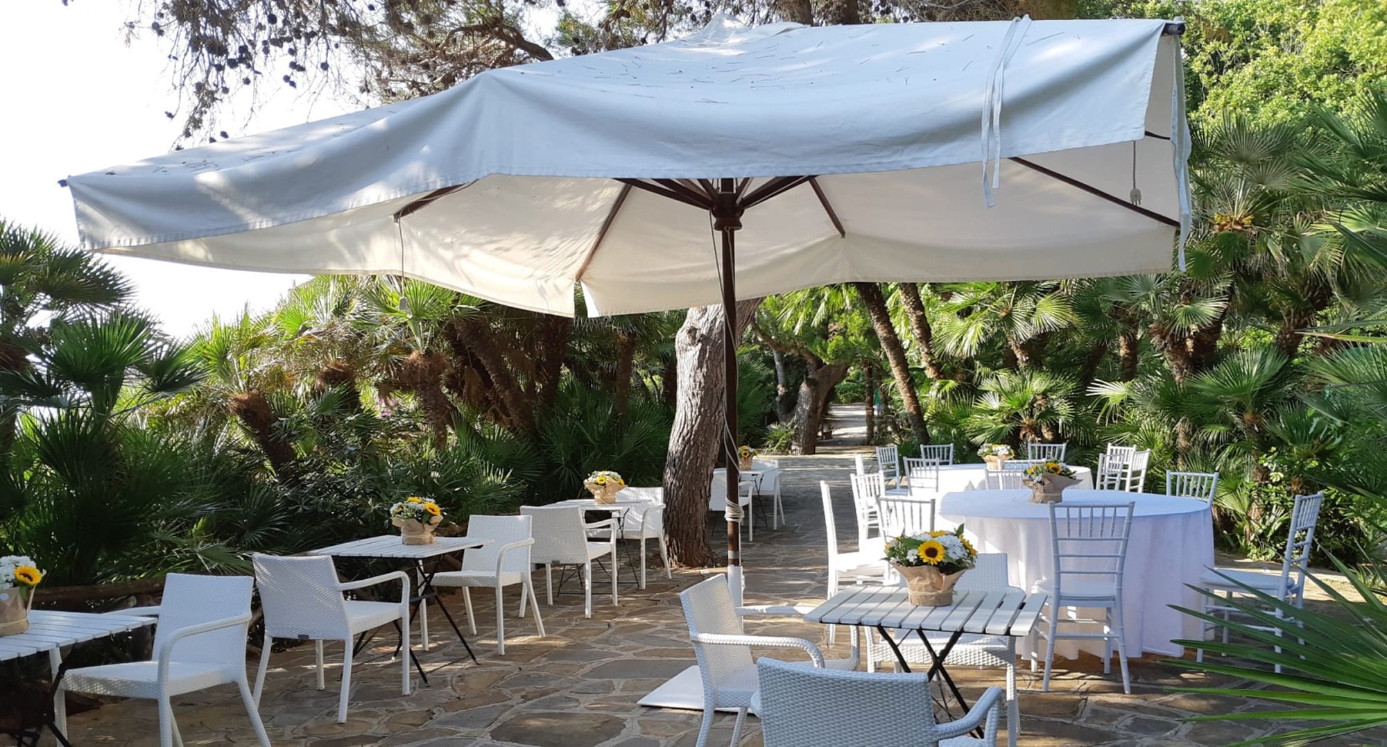 Copy of 20180630_181250 Outdoor patio with white furniture, large cream umbrellas, palm trees, and yellow flower arrangements