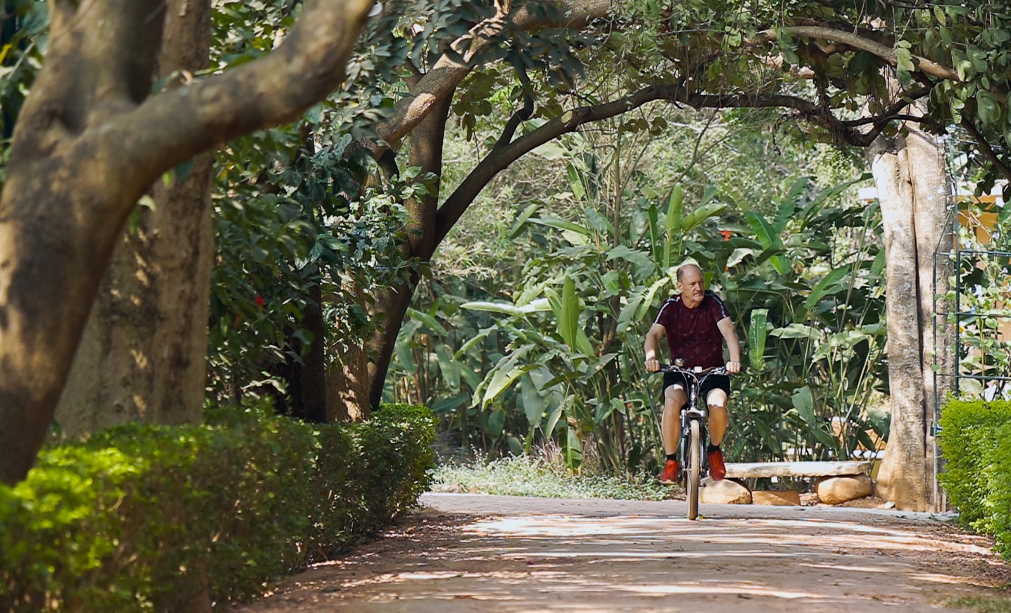 Cycling Man riding bicycle on tree-lined dirt path through lush garden