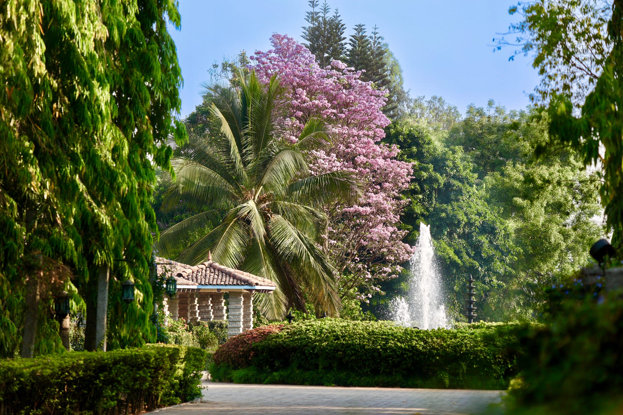 Entrance (HMQ Flowering Tree) Lush garden pathway with pink flowering tree, palm, fountain, and stone cottage