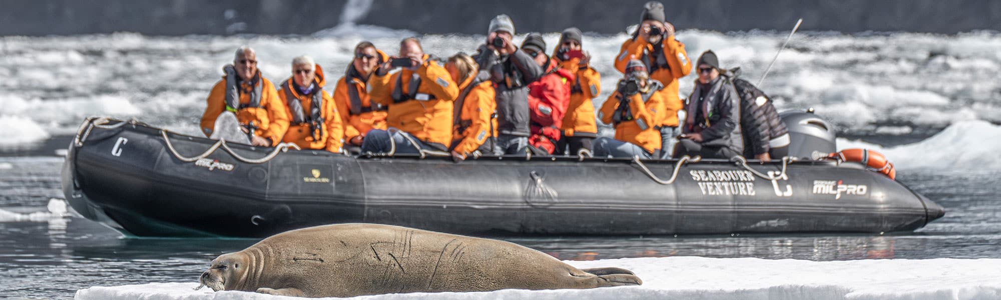 Excursion Antarctica Expedition Cruises