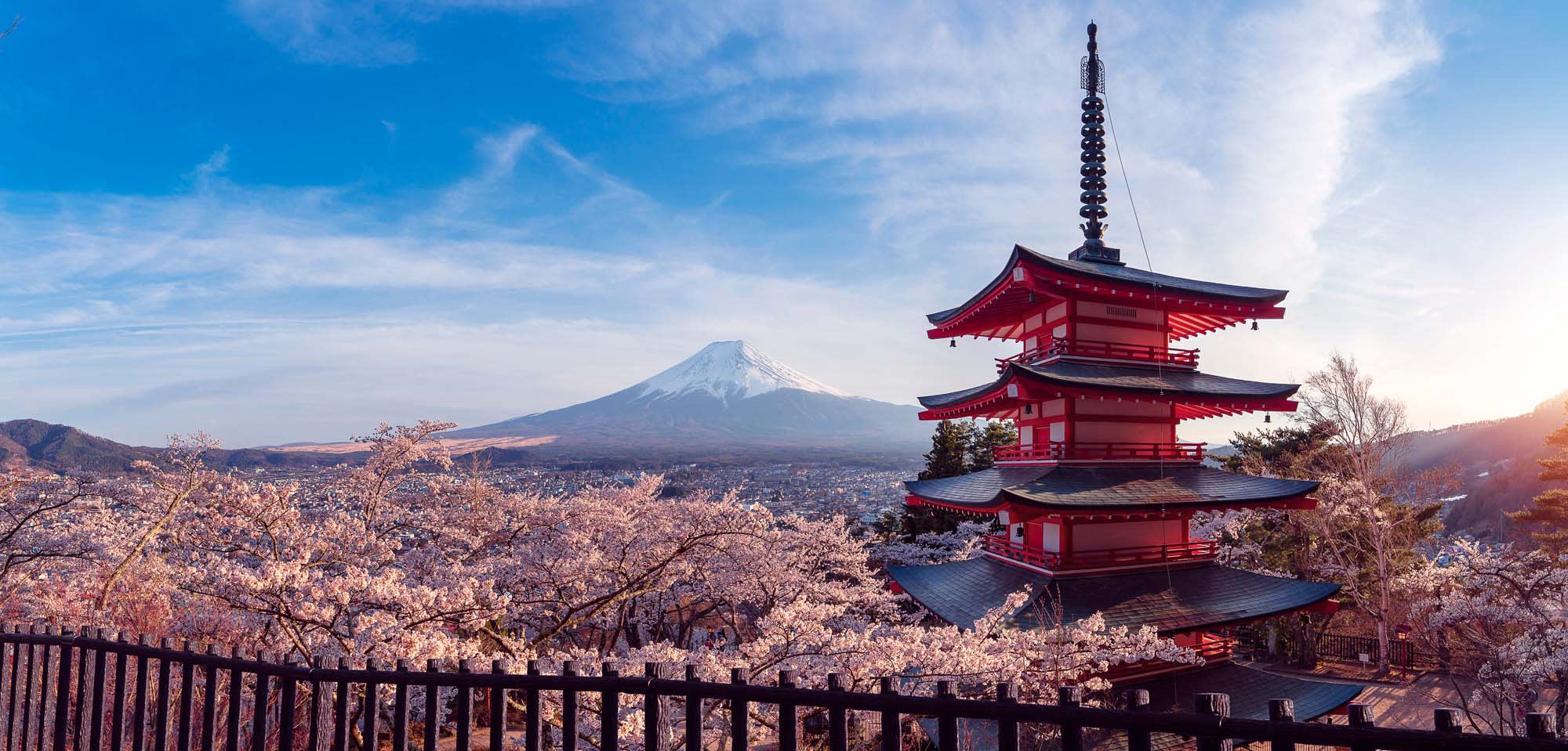 A stunning panoramic view of a traditional red Japanese pagoda with cherry blossoms in the foreground and snow-capped Mount Fuji in the background under a clear blue sky.