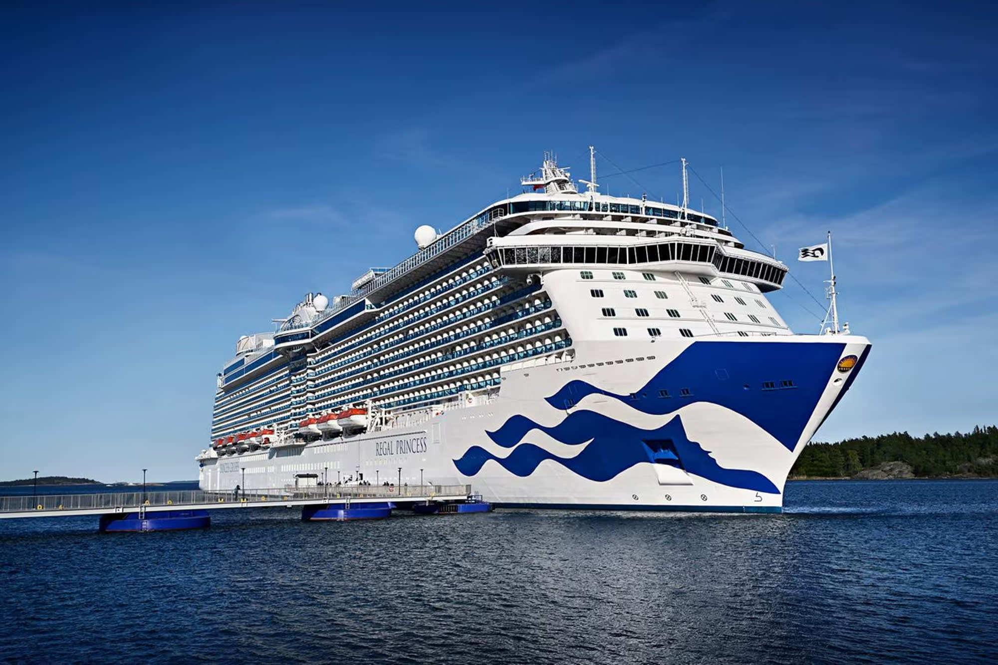 A large white and blue Princess cruise ship moored at a dock, with a forested shoreline in