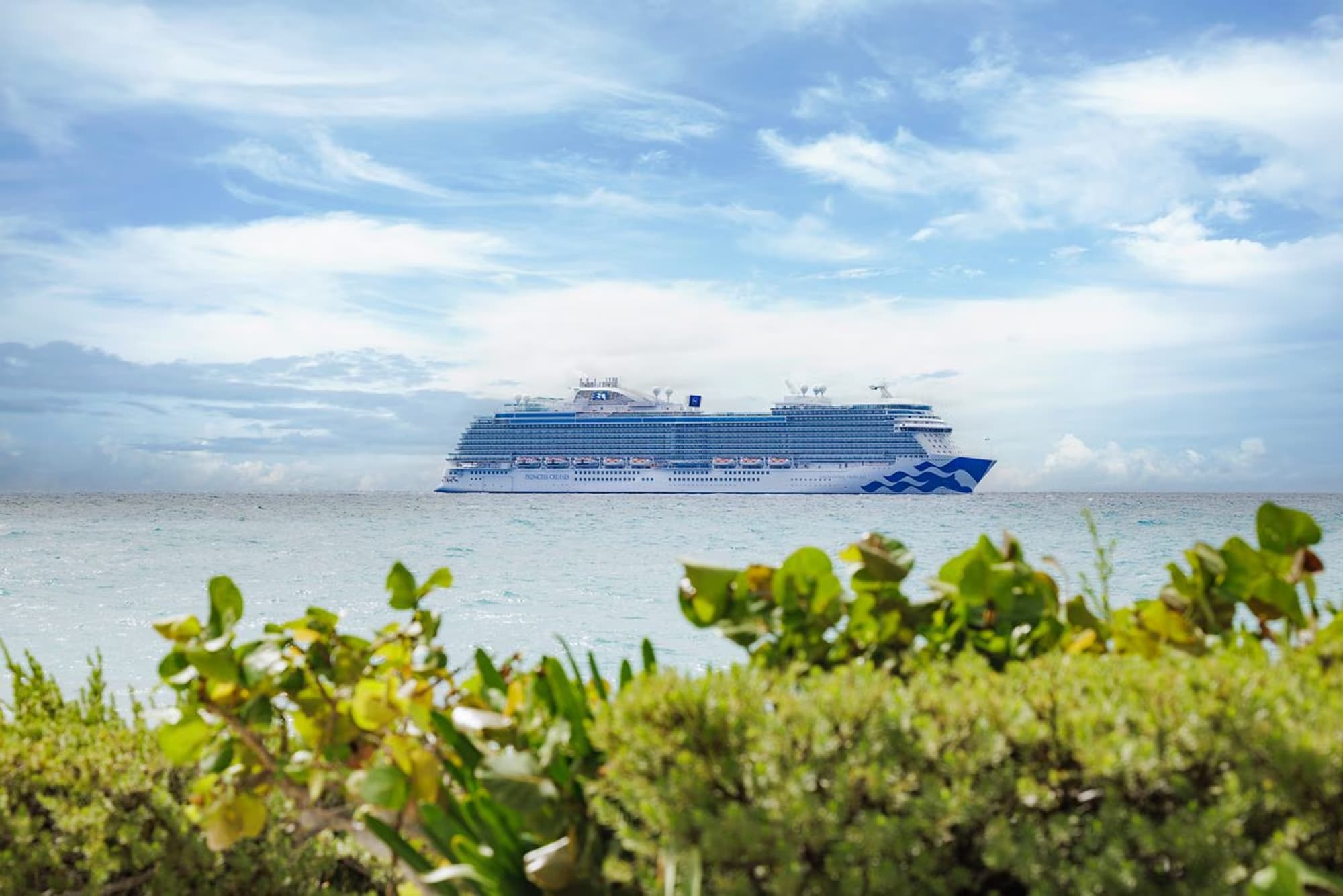 A large white and blue Princess Cruises ship anchored offshore, viewed through lush green coastal