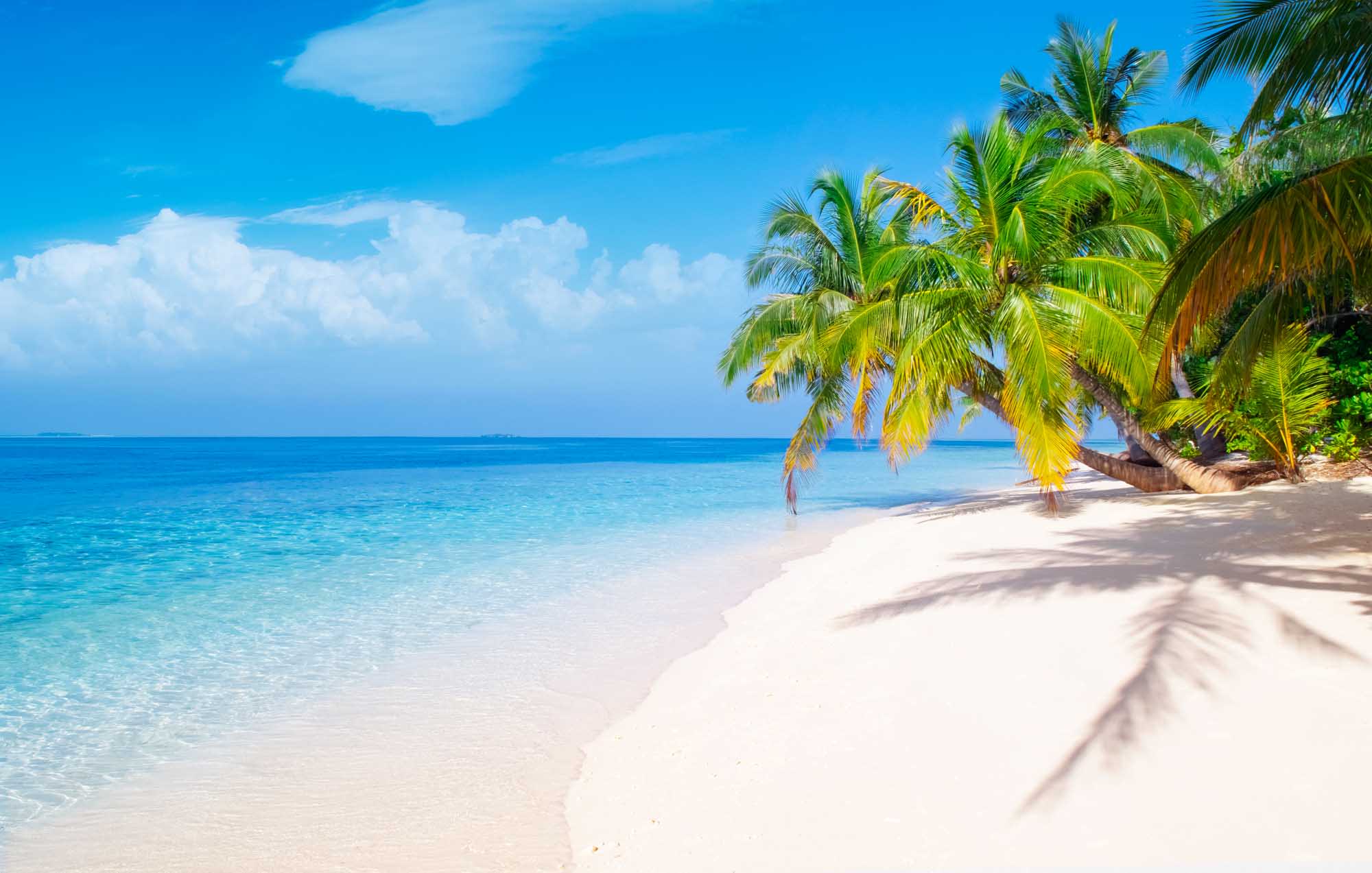 A pristine tropical beach featuring powdery white sand, crystal-clear turquoise waters, and lush palm trees casting shadows across the shoreline. The scene captures a perfect idyllic island destination under a bright blue sky with scattered white clouds, ideal for beach relaxation and water activities.