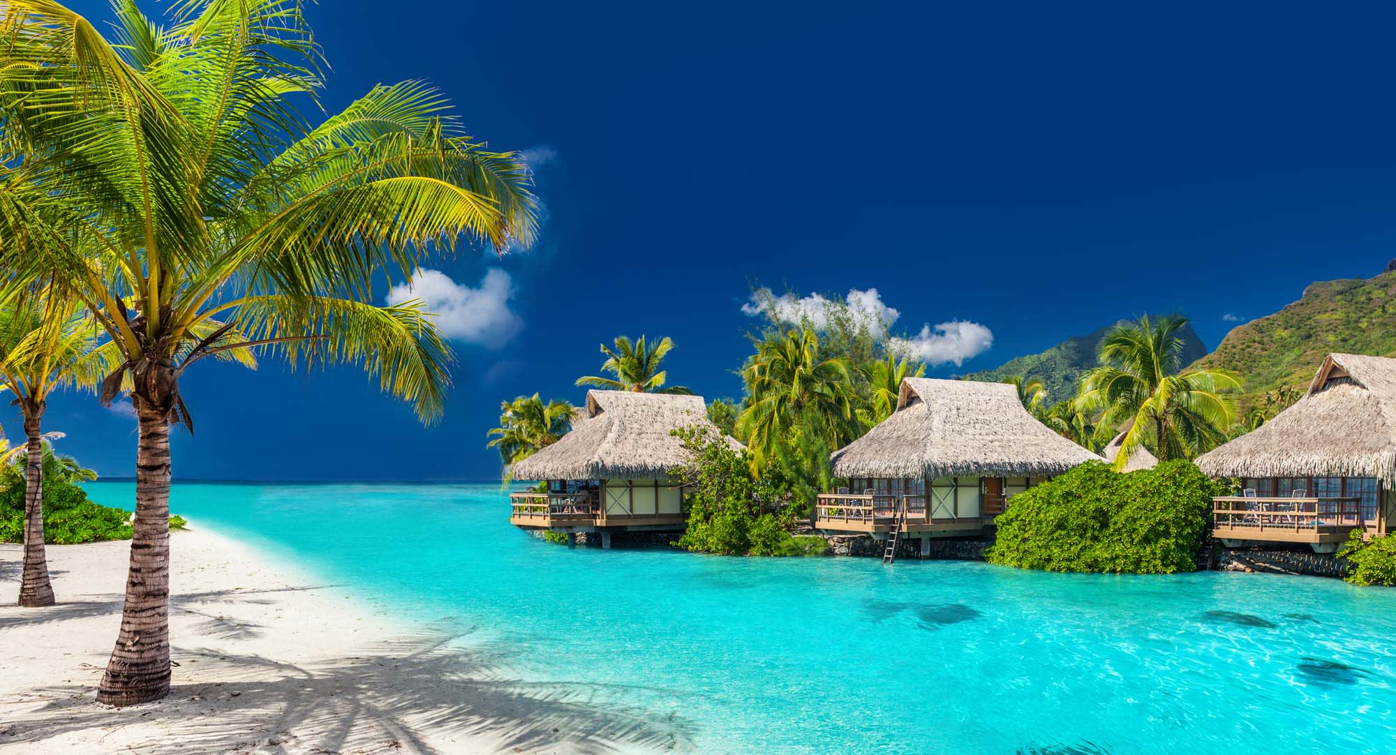 Tropical Island Resort with Overwater Bungalows A pristine tropical paradise featuring overwater bungalows with thatched roofs nestled in crystal-clear turquoise lagoon waters, surrounded by lush palm trees and white sand beaches with dramatic green mountainous backdrop under a brilliant blue sky.