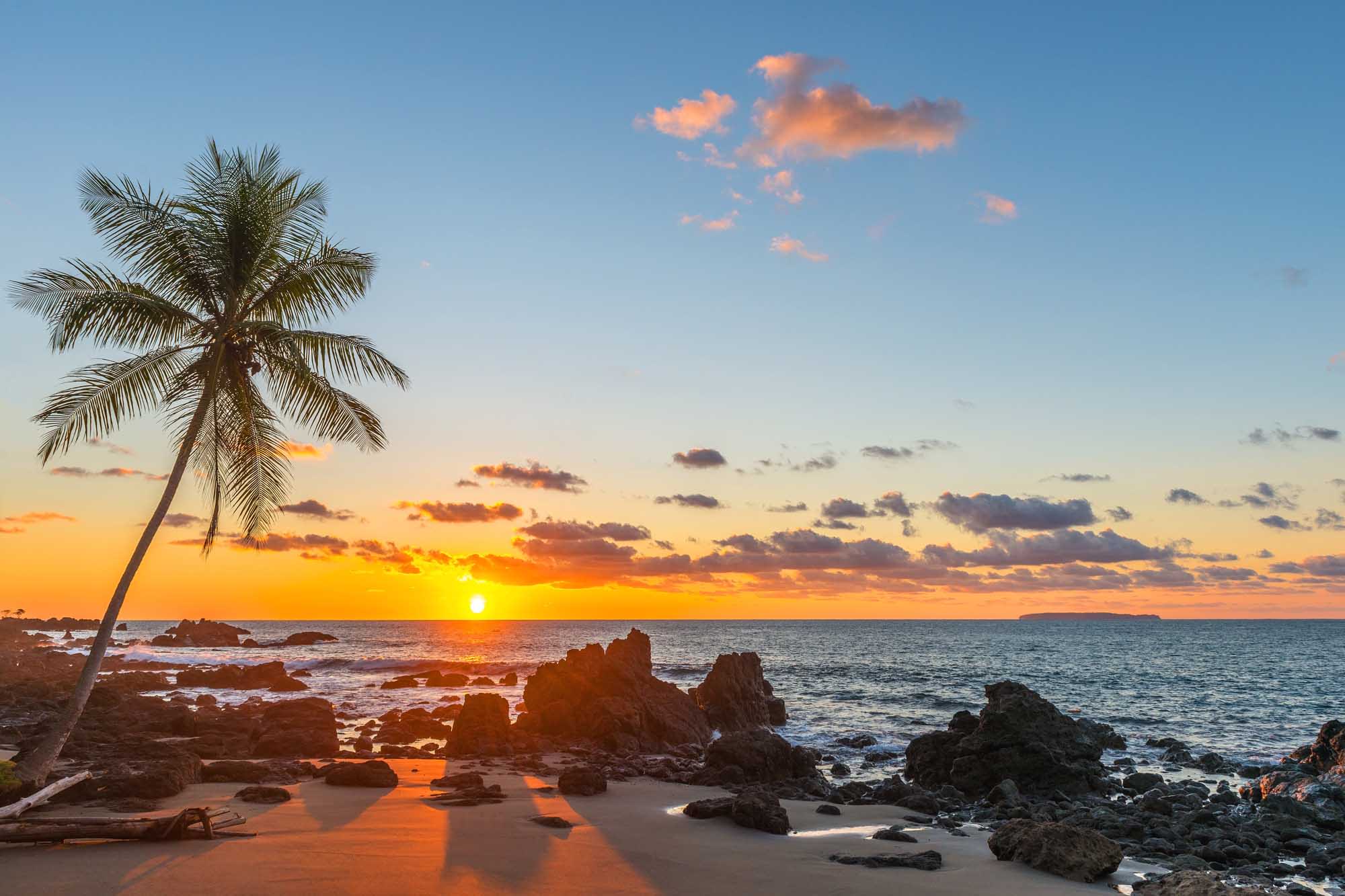 Silhouette,Of,A,Palm,Tree,And,A,Sand,Beach,Inside shutterstock-1044485158.jpg