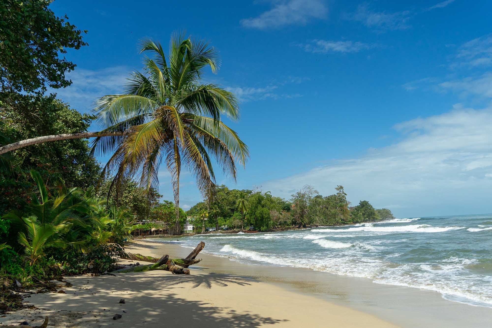 Cahuita,-,National,Park,With,Beautiful,Beaches,And,Rainforest,At shutterstock-2600551471.jpg