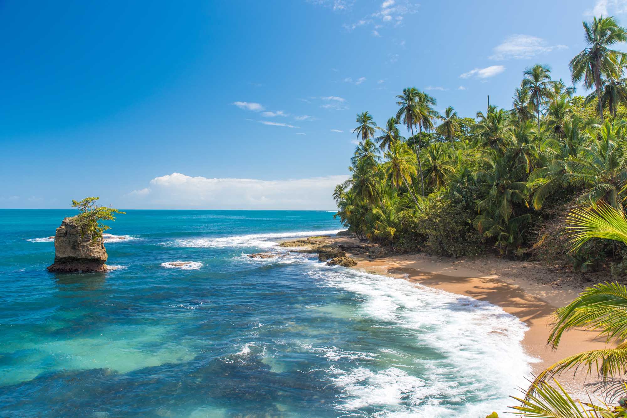 Wild,Caribbean,Beach,Of,Manzanillo,At,Puerto,Viejo,,Costa,Rica shutterstock-445483960.jpg