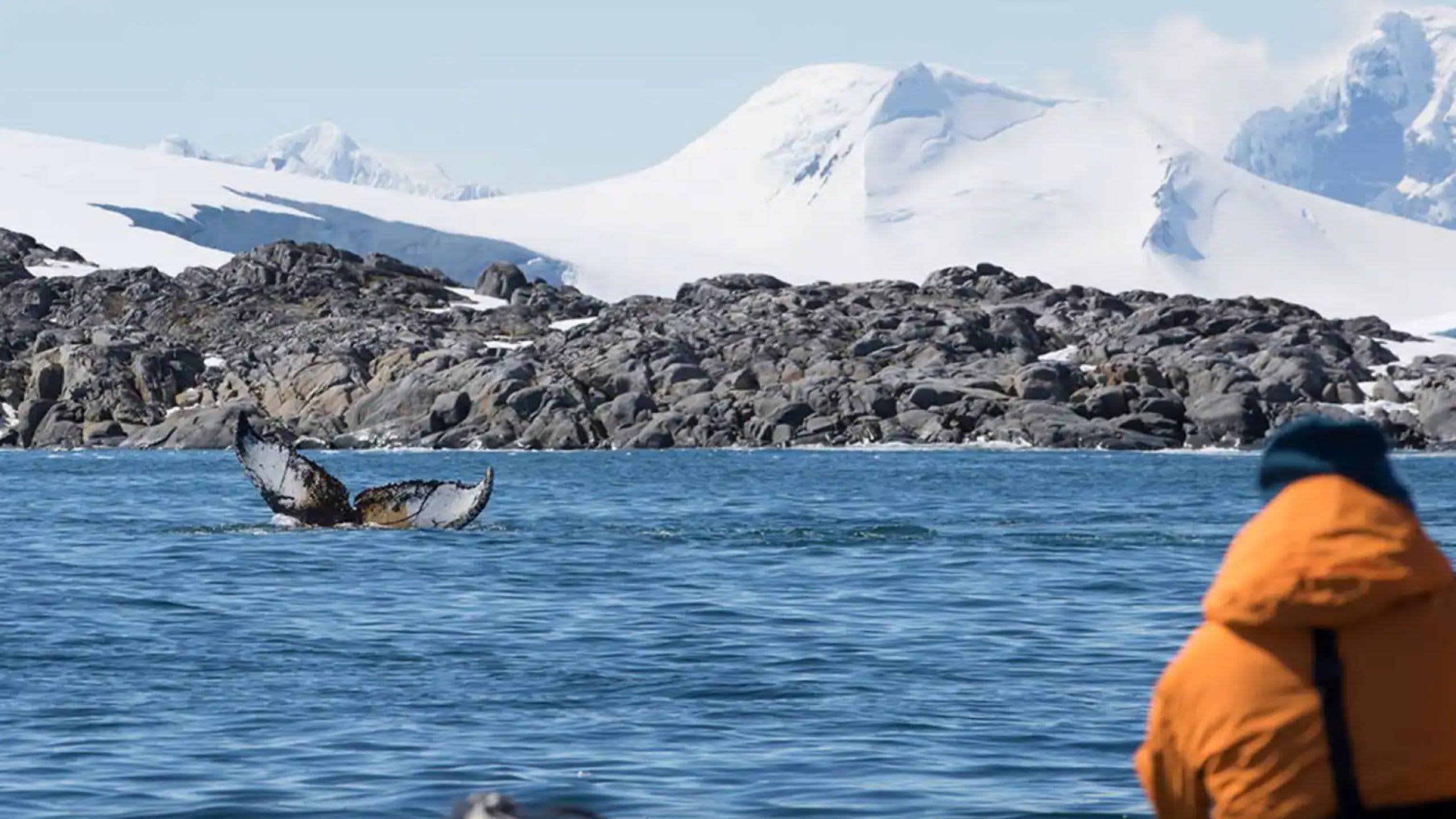 Exploring the Unexplored: Seabourn's 2026-2027 Expedition Cruises Announced!
