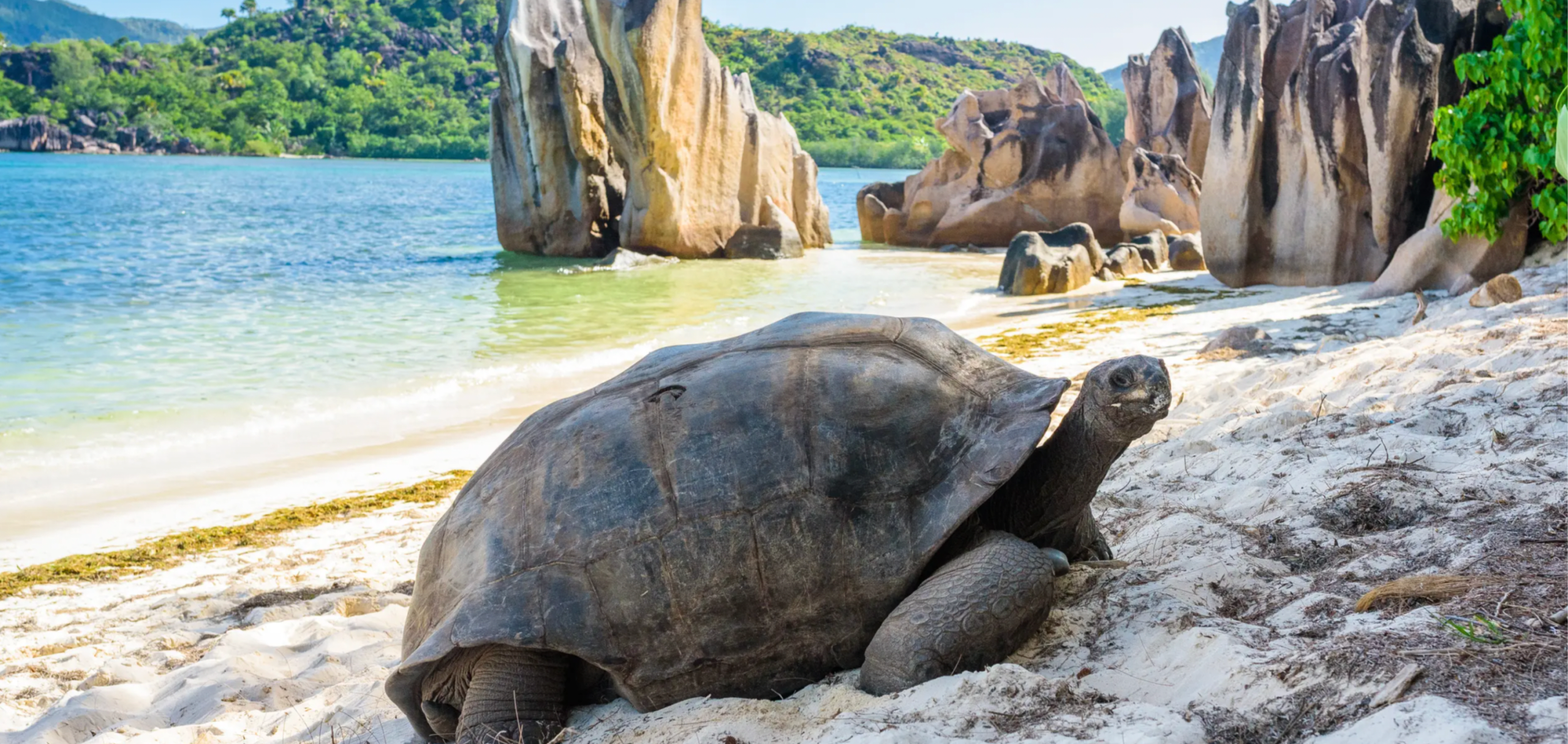 Silversea Cruises, Seychelles, World Cruise