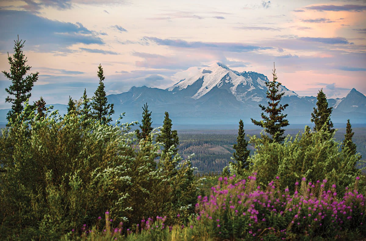 Copper River Princess Wilderness Lodge Alaska cruisetour guide