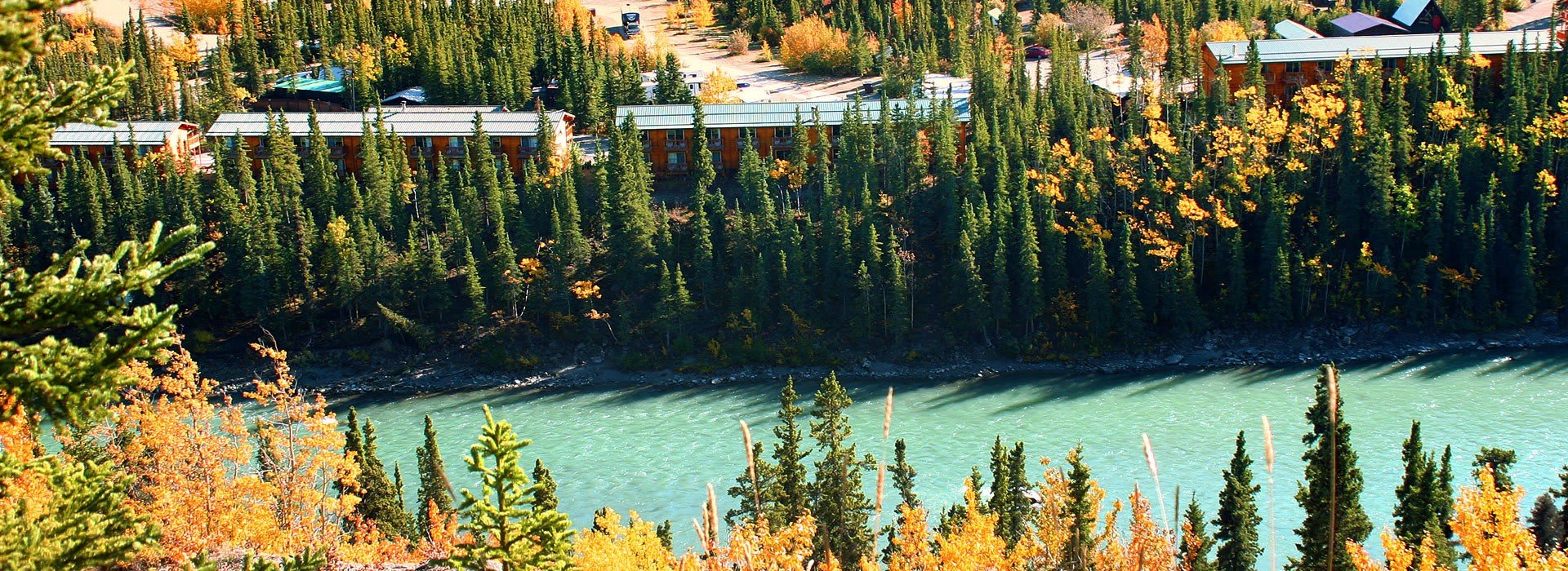 Denali Grizzly Bear Resort Alaska cruisetour guide