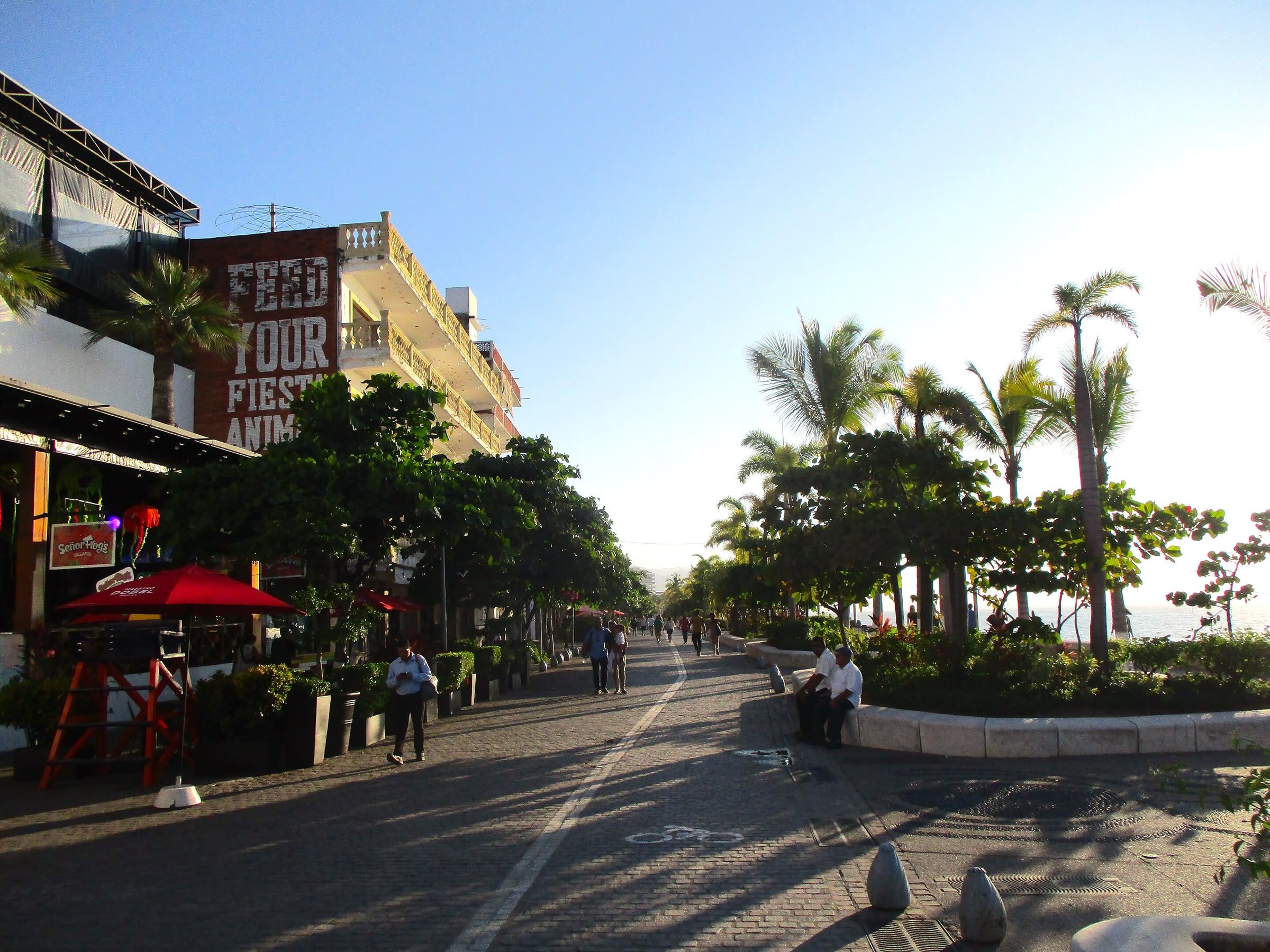 Puerto Vallarta cruise port guide