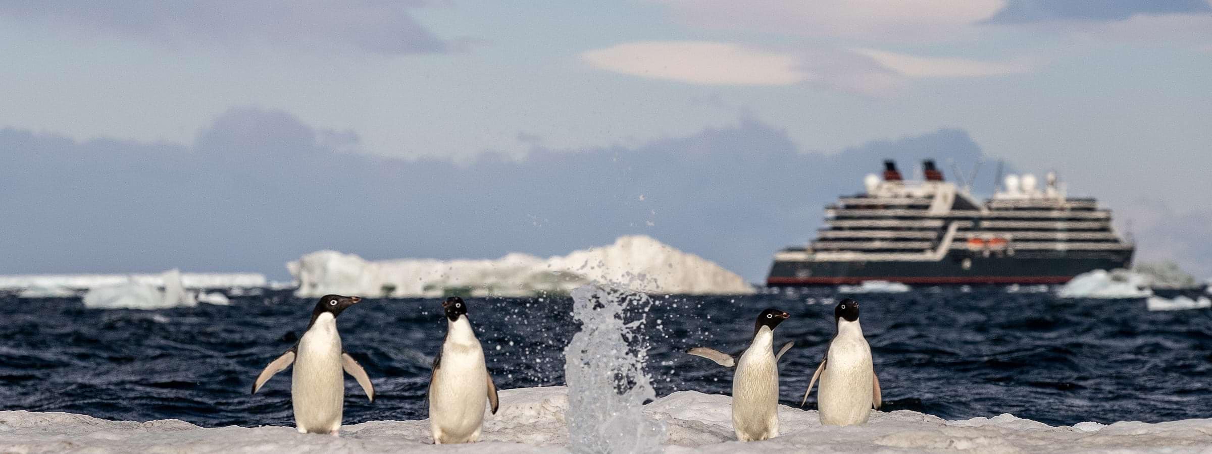 Seabourn Pursuit cruise ship