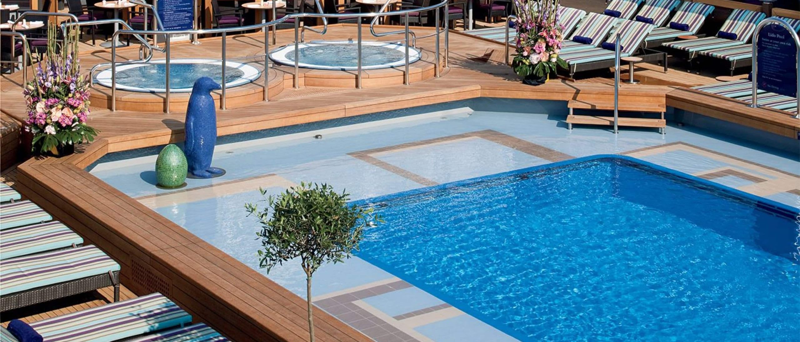 Lido Pool & Magradome on Nieuw Amsterdam