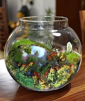 Aquascape detail