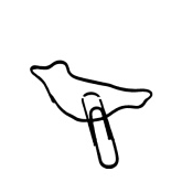 The Paper Birds