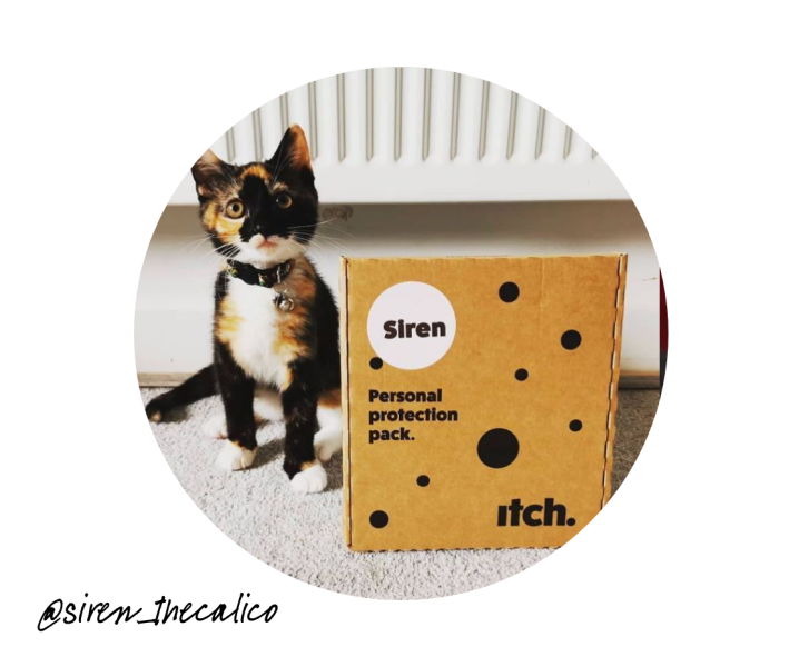 Kittens And Flea Treatment Online Store, Save 69 idiomas.to.senac.br Kittens And Flea Treatment Online Store, Save 69 idiomas.to.senac.br