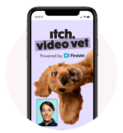 Video Vet