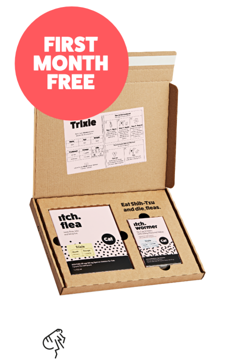 flea treatment monthly