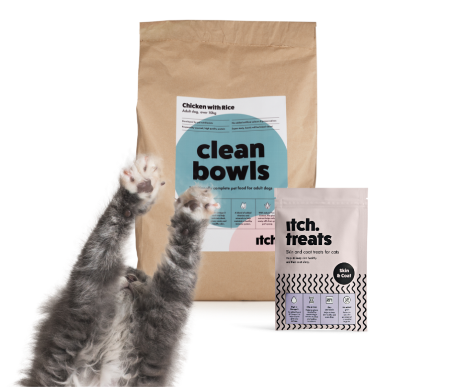 Monthly Flea & Worming Subscription for Cats & Dogs itch.