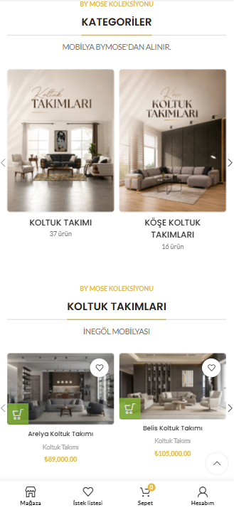 E-Ticaret web sitesi tasarımı