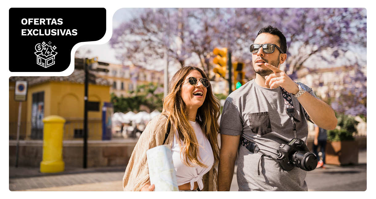 Descripción de la imagen