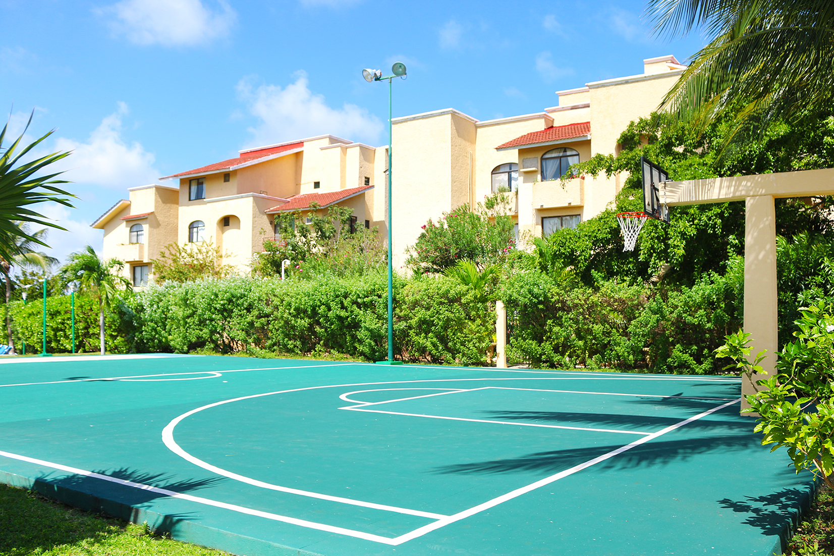 Basketball